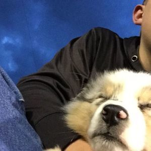 Meet your Posher, Tanner